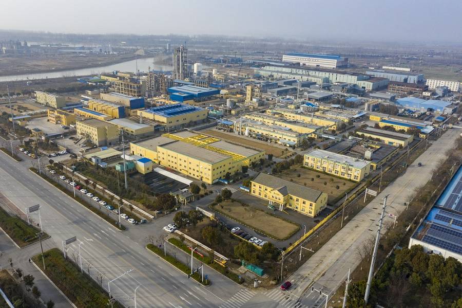 青岛志宁特色餐饮连锁有限公司药业首次公开发行股票并上市辅导备案信息公示